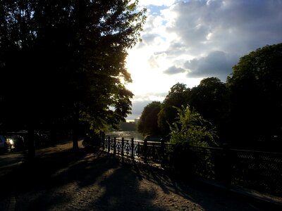 Berlin shore trees