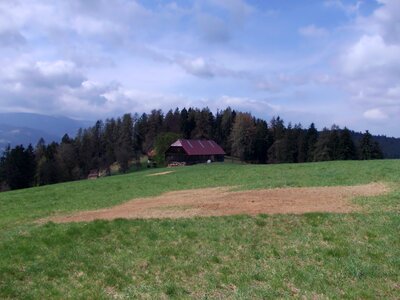 House rural forest photo