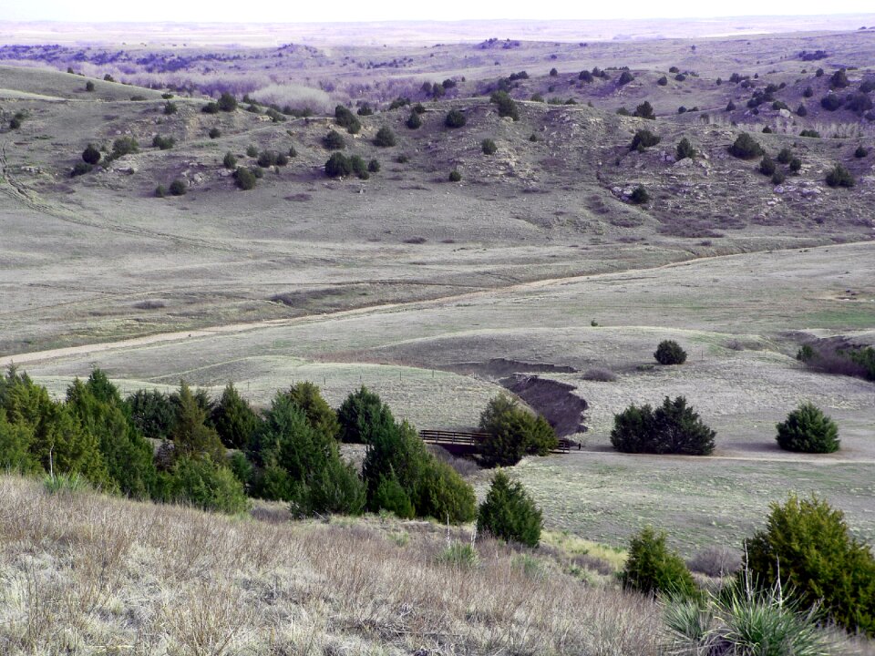 Trees valley countryside