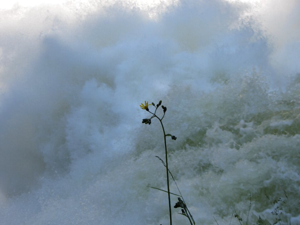 Awesome waves current