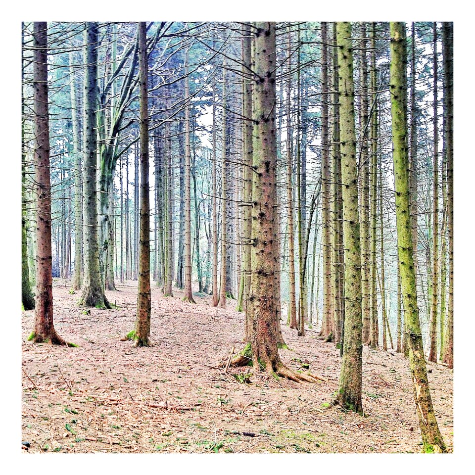 Landscape nature mood