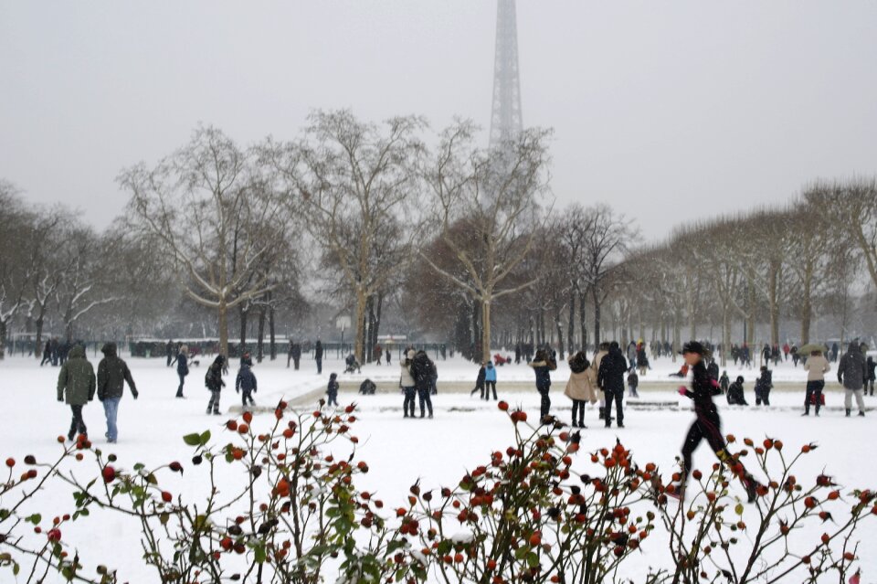 Eiffel tower winter cold