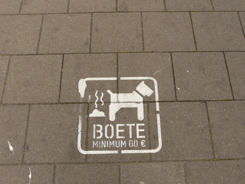Belgium sidewalk feces