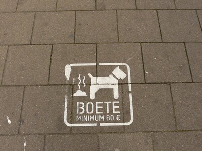 Belgium sidewalk feces