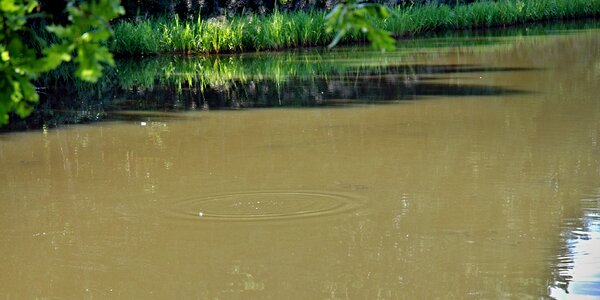 Brown circles south bohemia