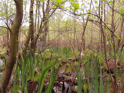 May away hiking