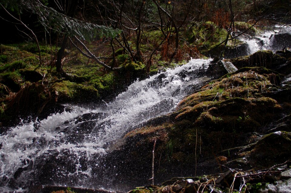 Nature landscape water