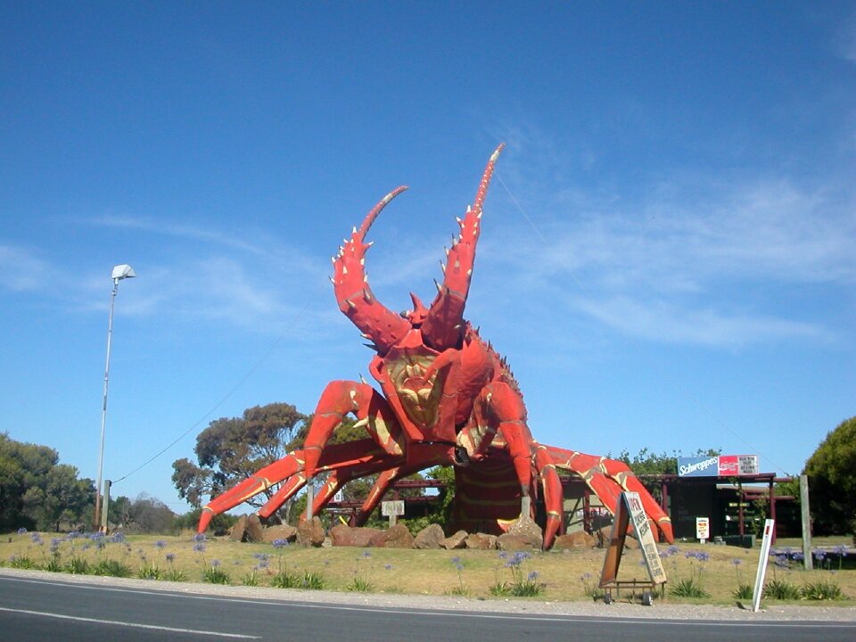 Australia lobster giant lobster