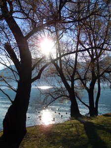 Backlighting mood lake