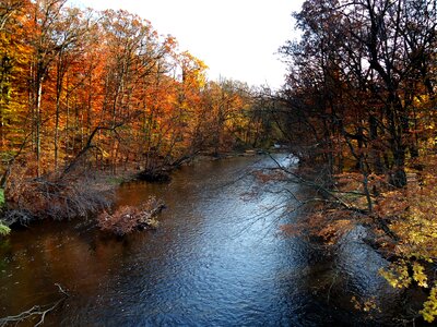 Autumn water river