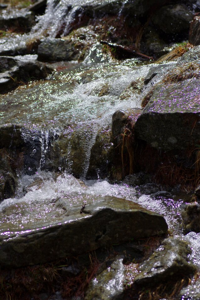 Nature landscape water