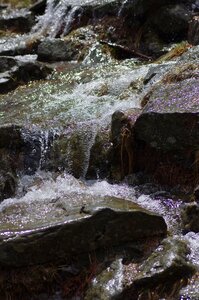 Nature landscape water