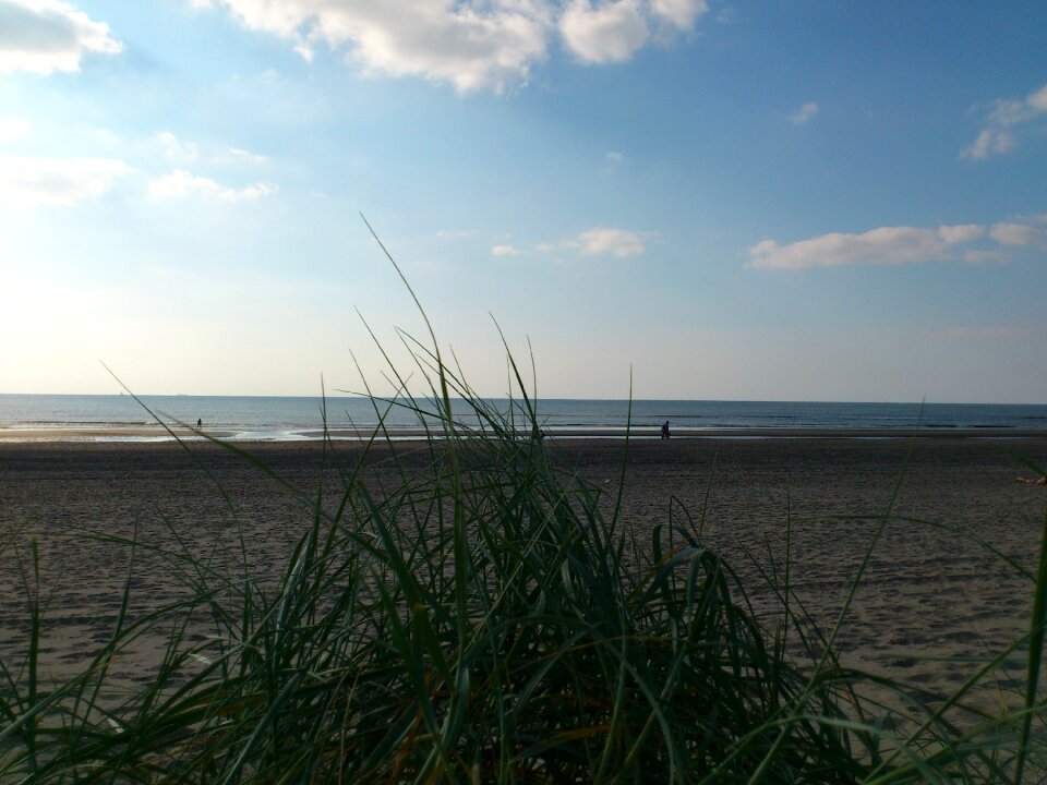 Vacations edge of the sea sand