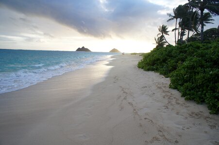 Island beach kawaii