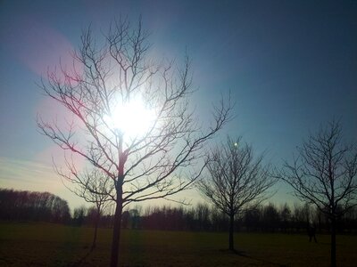 Evening sun mood beautiful