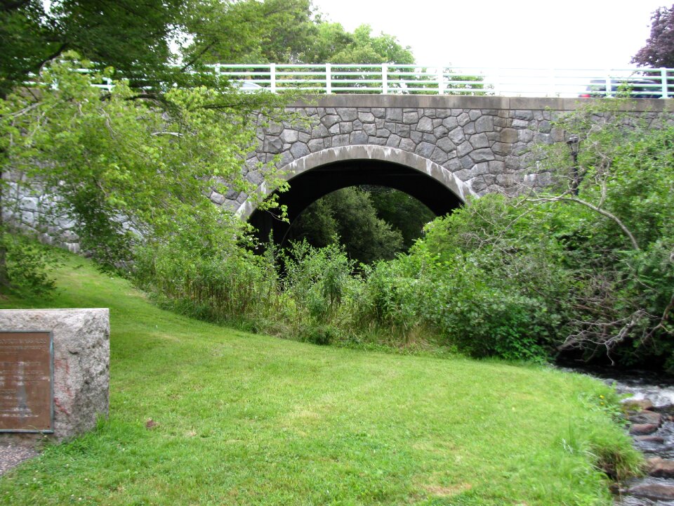 Landscape green bridge
