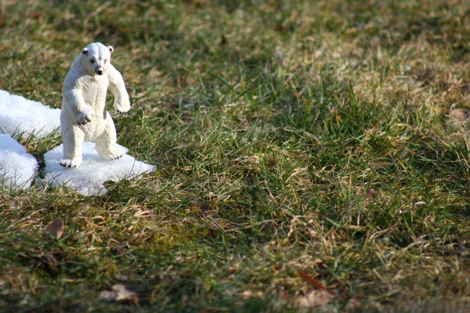 Predator climate change figure
