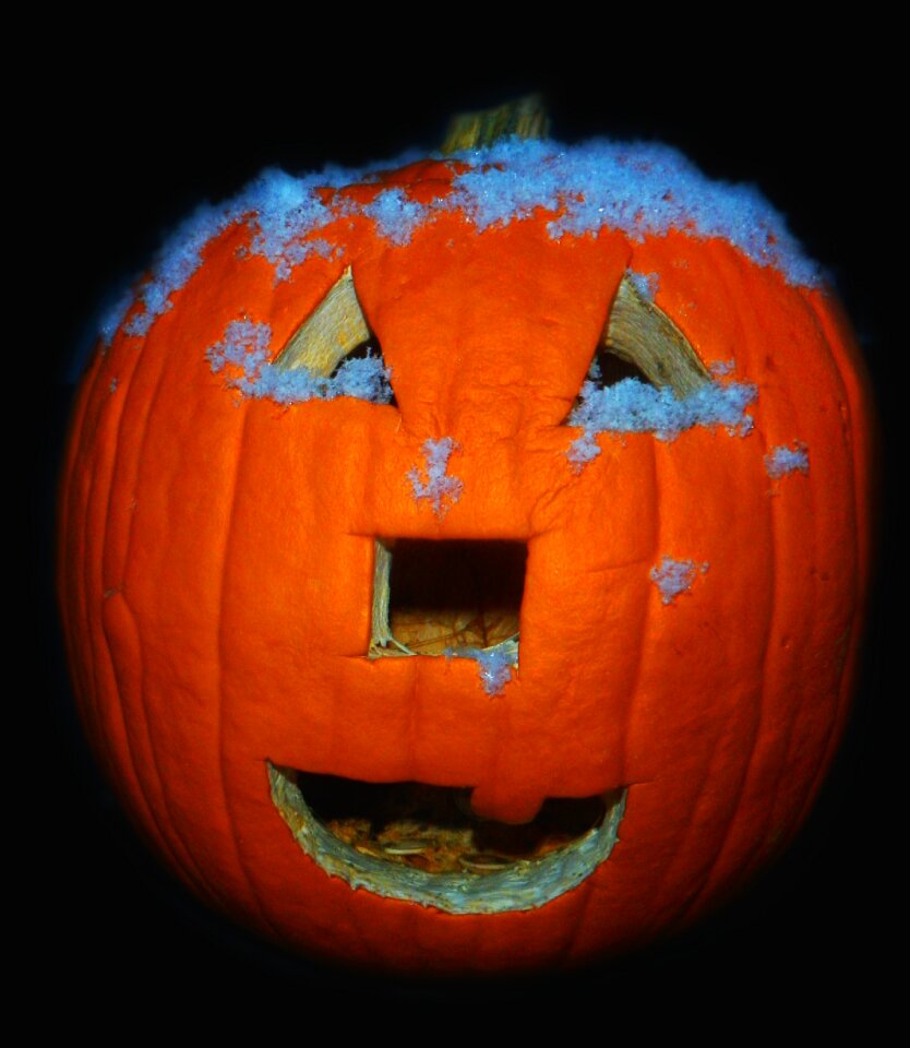 Halloween fall autumn