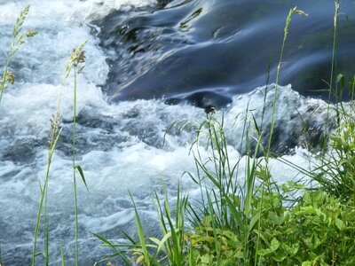 Grass river landscape flow photo
