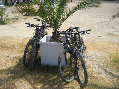 Summer mountain bike bike