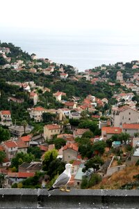 France seagull village