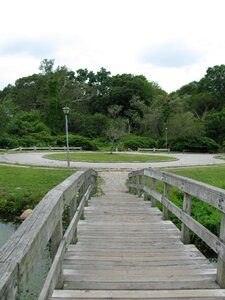 Bridge garden