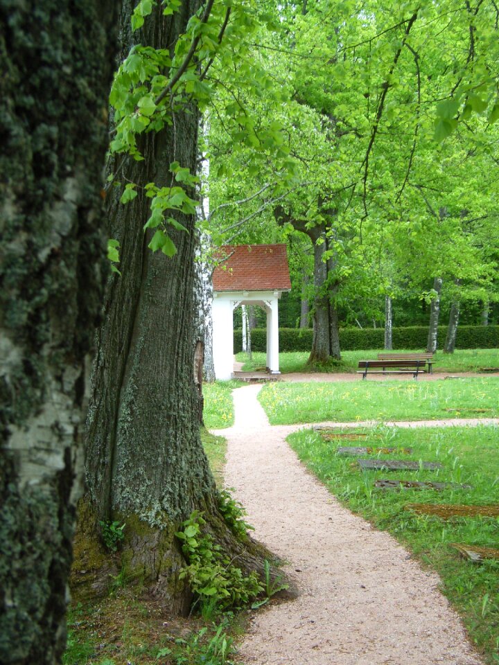 Tree meadow cemetery