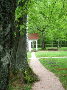 Tree meadow cemetery