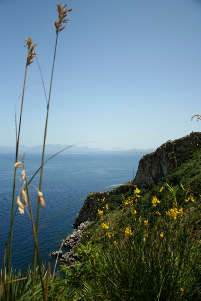 Mediterranean vacations plant