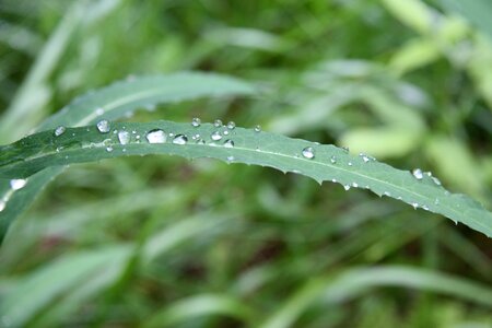 Nature landscape drip