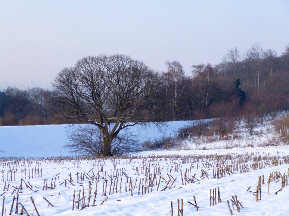 Wintry outdoor nature