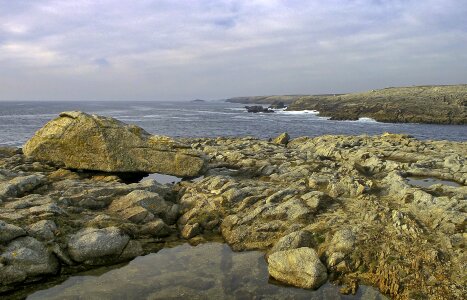 Quiberon side wild