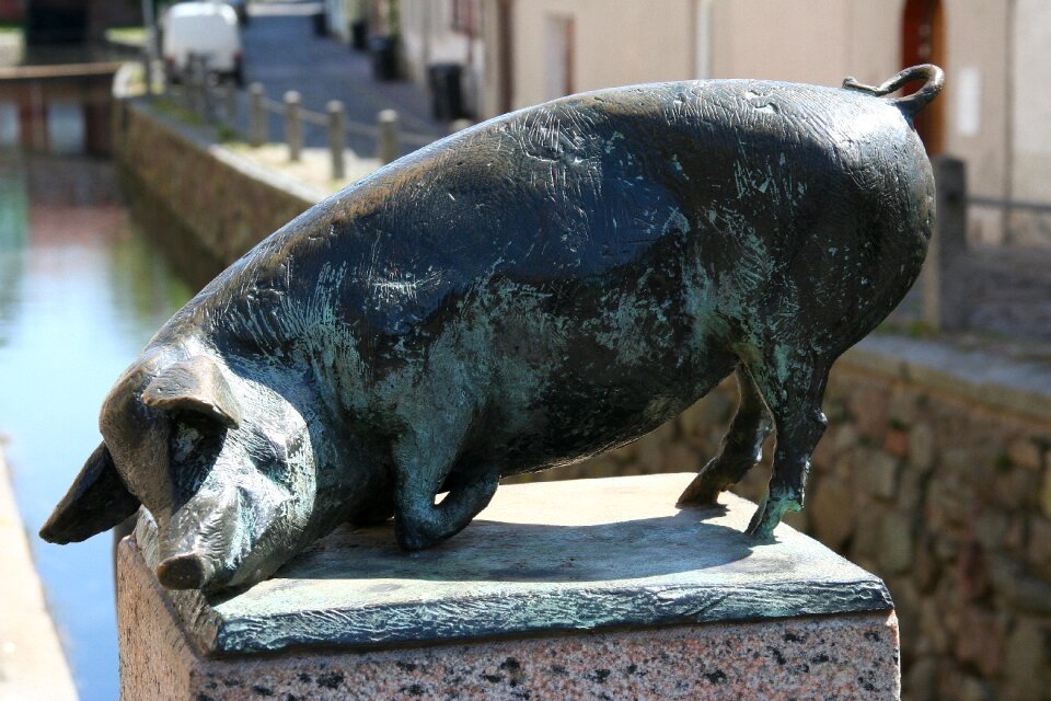 Pig bronze statue wismar