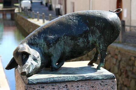 Pig bronze statue wismar photo