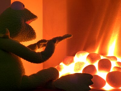 Kermit frog glow photo