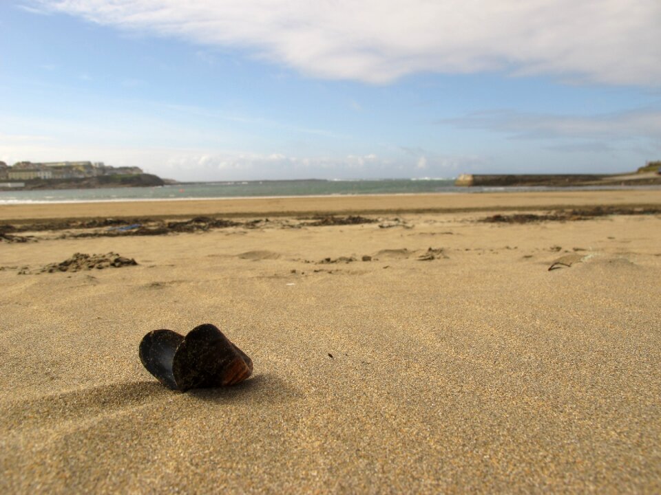 Sand nature beach