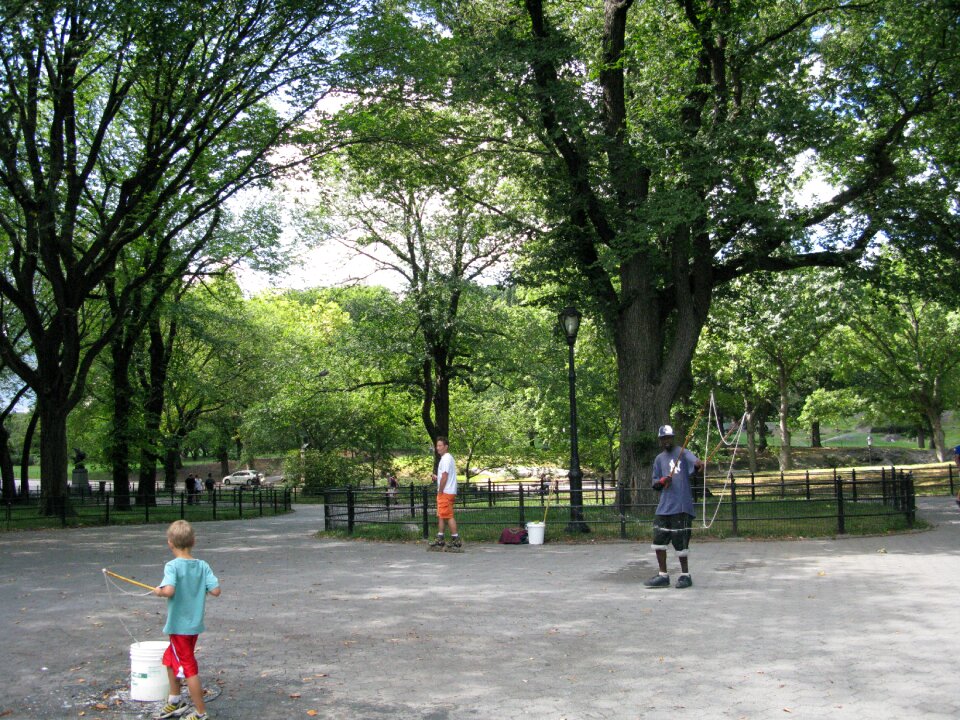 Nyc central park new york
