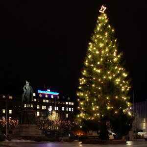 Christmas tree hotel statue photo