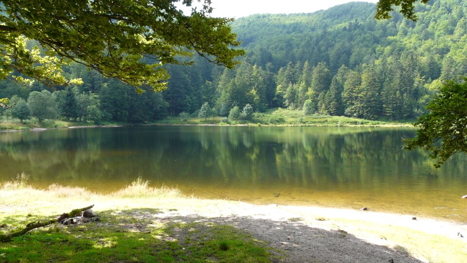 Lake vosges mountains photo