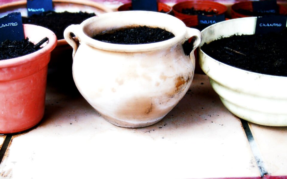 Pots plant pot flowerpot