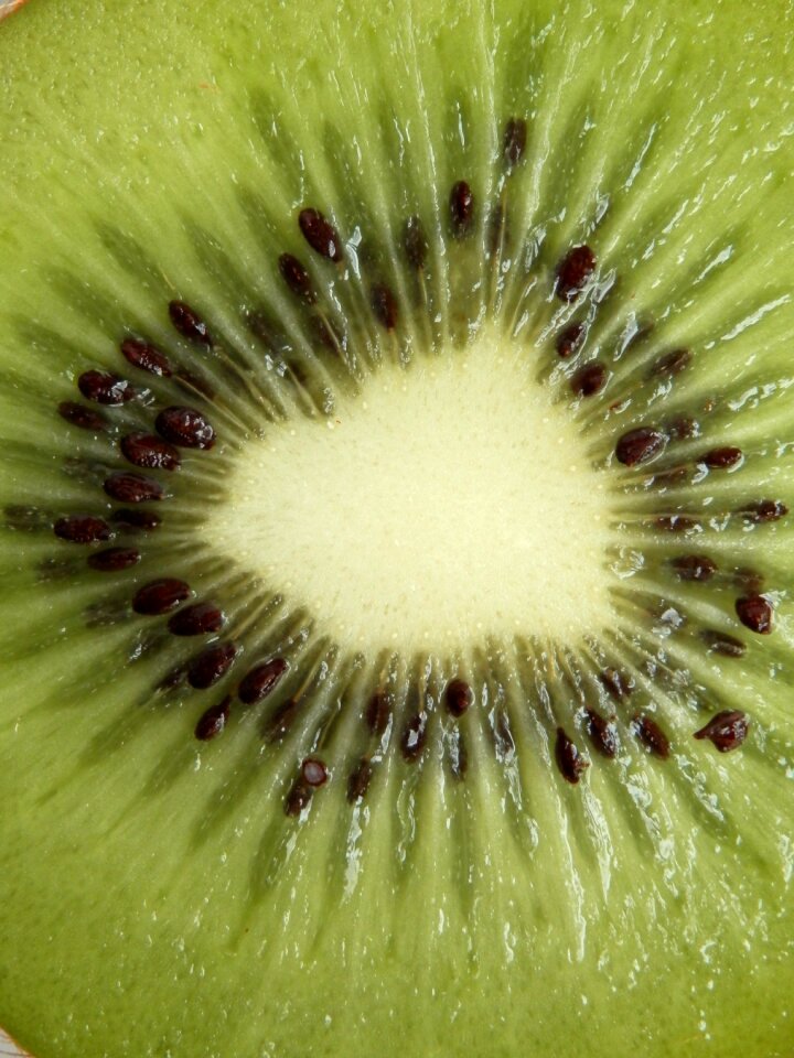 Fruit cores green