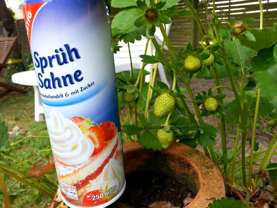 Strawberry sweet fruits
