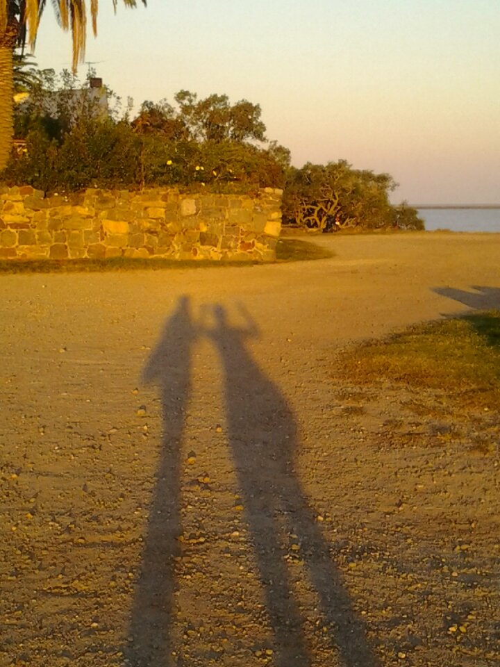 Shadows light and shadow photo