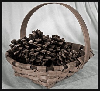 Basket brown wicker photo