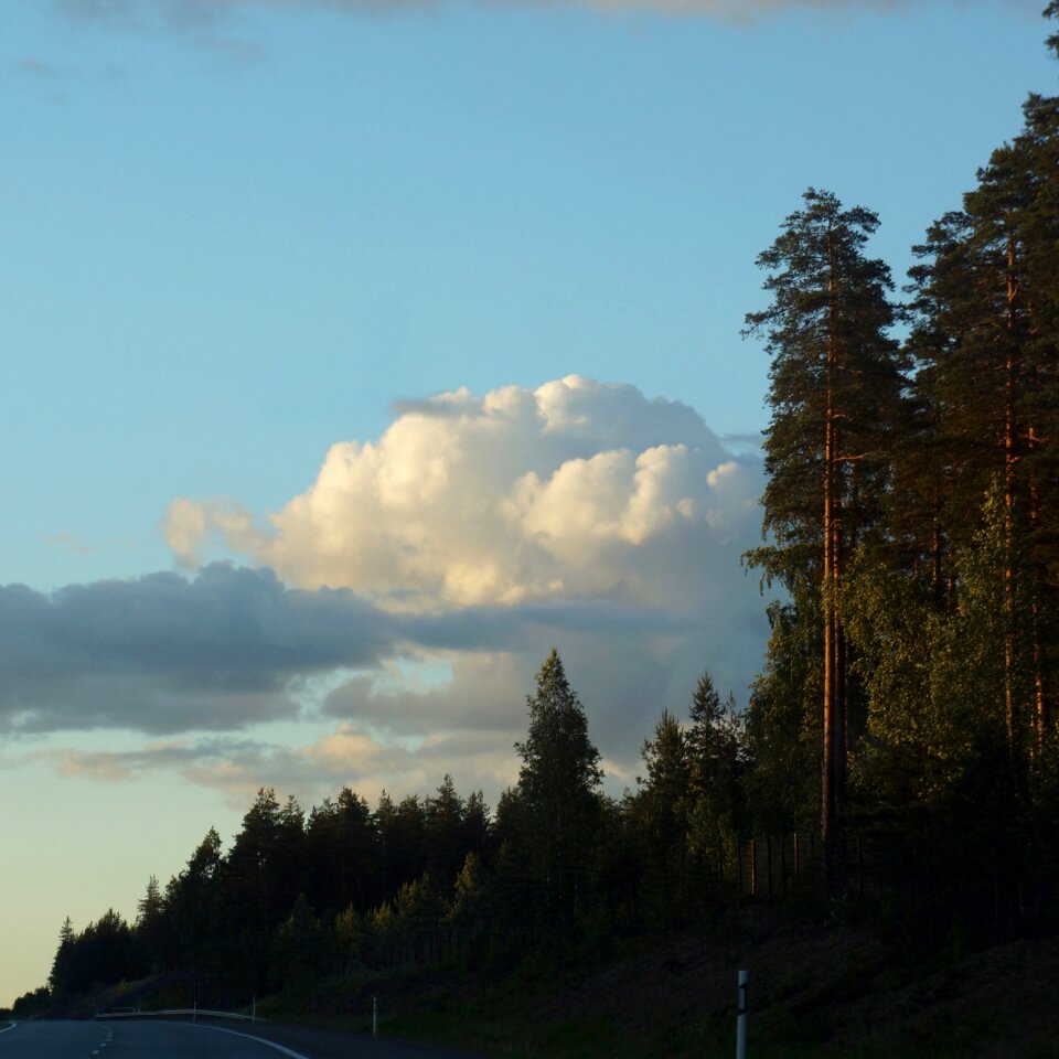 Cumulus clouds trees road