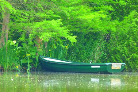 Nature water trees photo