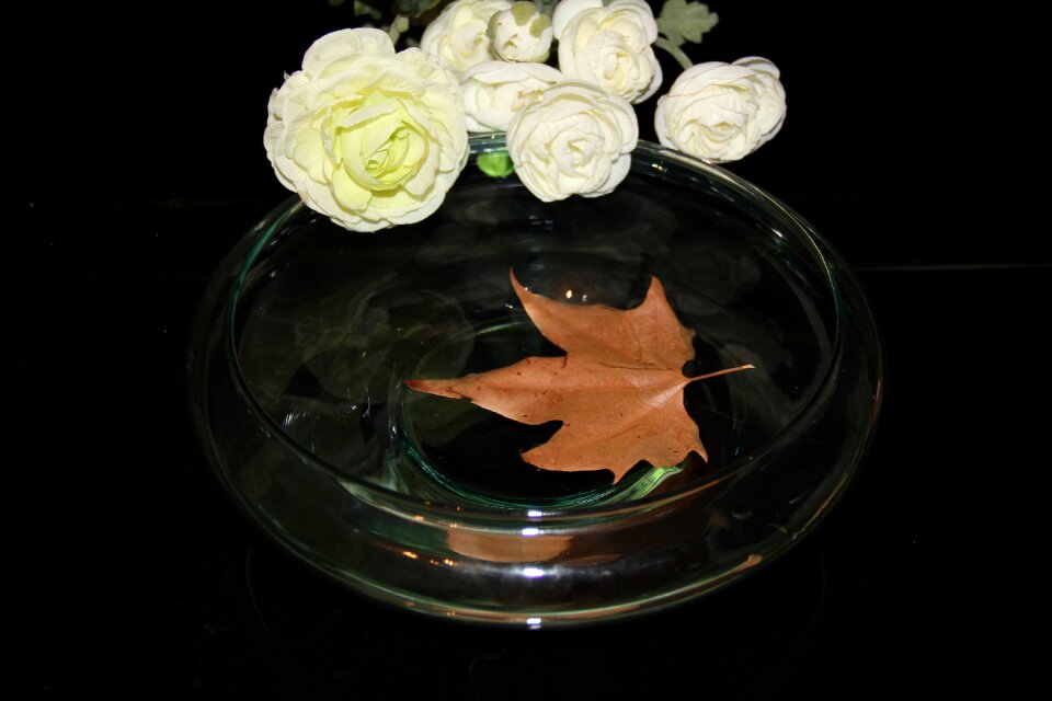 Leaf sheet in the water fall leaves