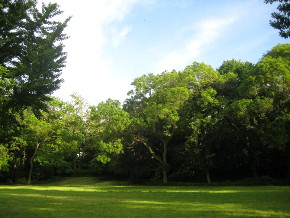 Glade park landscape