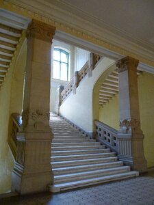 Column fancy window