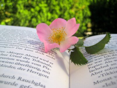Flower nature book